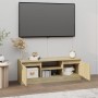 Mueble de TV con puerta roble Sonoma 102x30x36 cm
