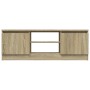 Mueble de TV con puerta roble Sonoma 102x30x36 cm