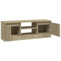 Mueble de TV con puerta roble Sonoma 102x30x36 cm