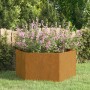 Jardinera de acero corten oxidado 90x90x45 cm en Maceteros y jardineras | Comprar online en Foro24