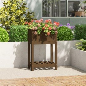 Jardinera de madera maciza de pino marrón 54x34,5x81 cm en Maceteros y jardineras | Comprar online en Foro24