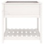 Jardinera con estante madera maciza pino blanca 82,5x82,5x81 cm