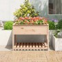 Jardinera con estante madera maciza de pino 111,5x111,5x81 cm en Maceteros y jardineras | Comprar online en Foro24