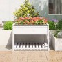 Jardinera de estante madera maciza pino blanca 111,5x111,5x81cm en Maceteros y jardineras | Comprar online en Foro24