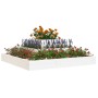 Jardinera de madera maciza de pino blanco 80x80x27 cm en Maceteros y jardineras | Comprar online en Foro24