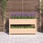 Jardinera de madera maciza de pino 112x25x66 cm en Maceteros y jardineras | Comprar online en Foro24
