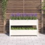 Jardinera de madera maciza de pino blanco 112x25x66 cm en Maceteros y jardineras | Comprar online en Foro24
