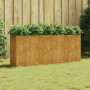Jardinera acero corten 200x40x80 cm