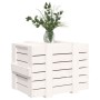 Caja de almacenaje madera maciza de pino blanca 58x40,5x42 cm