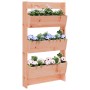 Jardinera pared 3 niveles madera maciza Douglas 60x18,5x110 cm en Maceteros y jardineras | Comprar online en Foro24