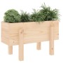 Jardinera madera maciza de pino 62x30x38 cm en Maceteros y jardineras | Comprar online en Foro24