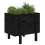 Jardinera de madera maciza de pino negro 62x50x57 cm en Maceteros y jardineras | Comprar online en Foro24