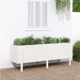 Arriate elevado de jardín madera maciza pino blanco 160x50x57cm en Maceteros y jardineras | Comprar online en Foro24