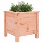 Jardinera madera maciza de abeto Douglas 40x40x39 cm