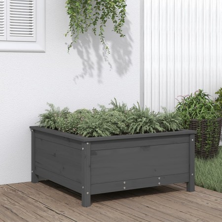 Jardinera madera maciza de pino gris 82,5x82,5x39 cm en Maceteros y jardineras | Comprar online en Foro24
