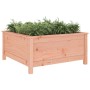 Jardinera madera maciza de abeto Douglas 82,5x82,5x39 cm