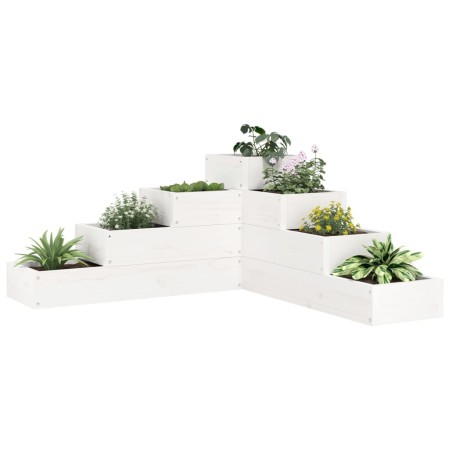 Jardinera 4 niveles madera maciza de pino blanca 80,5x79x36 cm en Maceteros y jardineras | Comprar online en Foro24