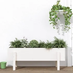 Hochbeet Zirbenholz massiv weiß 101x30x38cm von vidaXL, Töpfe und Pflanzgefäße - Ref: Foro24-825185, Preis: 60,55 €, Rabatt: %