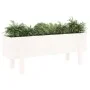 Elevated garden bed made of solid white pine wood 101x30x38cm by vidaXL, Pots and planters - Ref: Foro24-825185, Price: 60,51...