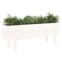 Hochbeet Zirbenholz massiv weiß 101x30x38cm von vidaXL, Töpfe und Pflanzgefäße - Ref: Foro24-825185, Preis: 61,46 €, Rabatt: %