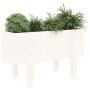 Jardinera madera maciza de pino blanco 62x30x38 cm de vidaXL, Maceteros y jardineras - Ref: Foro24-825178, Precio: 38,78 €, D...