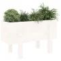 Solid white pine wood planter 62x30x38 cm by vidaXL, Pots and planters - Ref: Foro24-825178, Price: 38,25 €, Discount: %