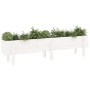 Raised garden bed solid white pine wood 160x30x38cm by vidaXL, Pots and planters - Ref: Foro24-825192, Price: 96,00 €, Discou...
