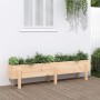 Hochbeet aus massivem Zirbenholz 160x30x38 cm von vidaXL, Töpfe und Pflanzgefäße - Ref: Foro24-825191, Preis: 72,48 €, Rabatt: %