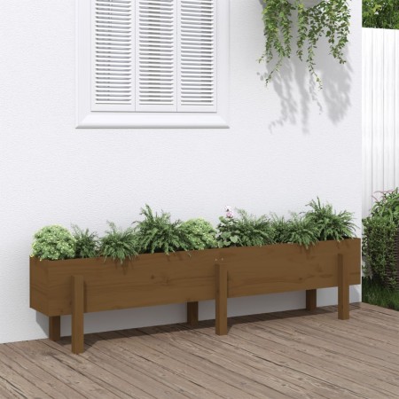 Raised garden bed pine wood honey brown 160x30x38 cm by vidaXL, Pots and planters - Ref: Foro24-825194, Price: 113,30 €, Disc...