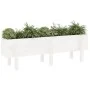 Raised garden bed solid white pine wood 121x30x38cm by vidaXL, Pots and planters - Ref: Foro24-825199, Price: 61,94 €, Discou...