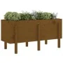 Hochbeet Zirbenholz honigbraun 121x50x57 cm von vidaXL, Töpfe und Pflanzgefäße - Ref: Foro24-825229, Preis: 122,75 €, Rabatt: %