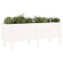 Elevated garden bed made of solid white pine wood 160x50x57cm by vidaXL, Pots and planters - Ref: Foro24-825220, Price: 133,7...