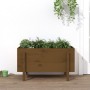 Hochbeet Zirbenholz honigbraun 101x50x57 cm von vidaXL, Töpfe und Pflanzgefäße - Ref: Foro24-825215, Preis: 94,54 €, Rabatt: %