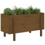 Hochbeet Zirbenholz honigbraun 101x50x57 cm von vidaXL, Töpfe und Pflanzgefäße - Ref: Foro24-825215, Preis: 94,54 €, Rabatt: %