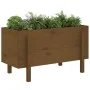 Hochbeet Zirbenholz honigbraun 101x50x57 cm von vidaXL, Töpfe und Pflanzgefäße - Ref: Foro24-825215, Preis: 93,23 €, Rabatt: %