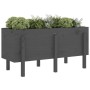 Hochbeet aus massivem, grauem Kiefernholz, 121 x 50 x 57 cm von vidaXL, Töpfe und Pflanzgefäße - Ref: Foro24-825228, Preis: 1...