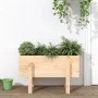 Pflanzgefäß aus massivem Kiefernholz, 62 x 30 x 38 cm von vidaXL, Töpfe und Pflanzgefäße - Ref: Foro24-825177, Preis: 38,27 €...