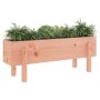 Hochbeet aus Massivholz Douglasie 101x30x38 cm von vidaXL, Töpfe und Pflanzgefäße - Ref: Foro24-825189, Preis: 48,32 €, Rabat...