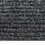 Flurteppich fängt Schmutz auf, 100 x 250 cm, Anthrazitgrau von vidaXL, Teppiche - Ref: Foro24-327168, Preis: 73,12 €, Rabatt: %