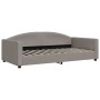 Taupegraues Schlafsofa aus Stoff, 100 x 200 cm von vidaXL, Betten und Lattenroste - Ref: Foro24-354119, Preis: 195,74 €, Raba...