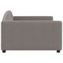 Taupegraues Schlafsofa aus Stoff, 100 x 200 cm von vidaXL, Betten und Lattenroste - Ref: Foro24-354119, Preis: 195,74 €, Raba...