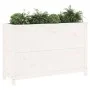Hochbeet aus weißem Kiefernholz, 119,5 x 40 x 78 cm von vidaXL, Töpfe und Pflanzgefäße - Ref: Foro24-825290, Preis: 139,69 €,...