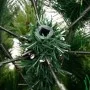 Künstlicher Weihnachtsbaum mit Scharnieren und Ständer 180 cm von vidaXL, Weihnachtsbäume - Ref: Foro24-356738, Preis: 74,11 ...