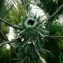 Künstlicher Weihnachtsbaum mit Scharnieren und Ständer 240 cm von vidaXL, Weihnachtsbäume - Ref: Foro24-356740, Preis: 162,61...