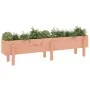 Hochbeet aus Massivholz Douglasie 160x30x38 cm von vidaXL, Töpfe und Pflanzgefäße - Ref: Foro24-825196, Preis: 76,76 €, Rabat...