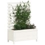Jardinera estantería madera maciza pino blanco 79x39,5x114 cm en Maceteros y jardineras | Comprar online en Foro24