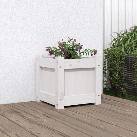 Jardinera de madera maciza de pino blanca 31x31x31 cm