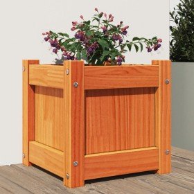 Jardinera exterior madera maciza pino marrón cera 31x31x31 cm en Maceteros y jardineras | Comprar online en Foro24