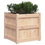 Jardinera madera maciza de pino 50x50x50 cm en Maceteros y jardineras | Comprar online en Foro24
