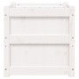 Jardinera madera maciza de pino blanco 50x50x50 cm